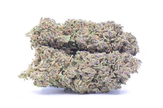 PURPLE GH